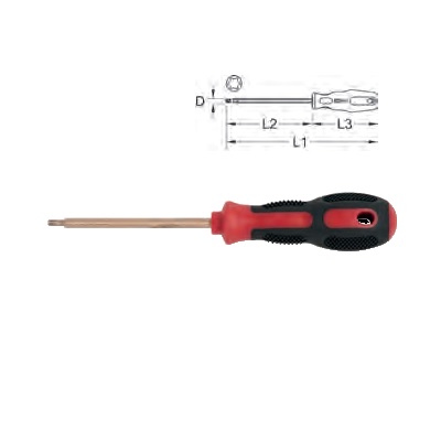 BERYLLIUM + SCREWDRIVER TORX T5